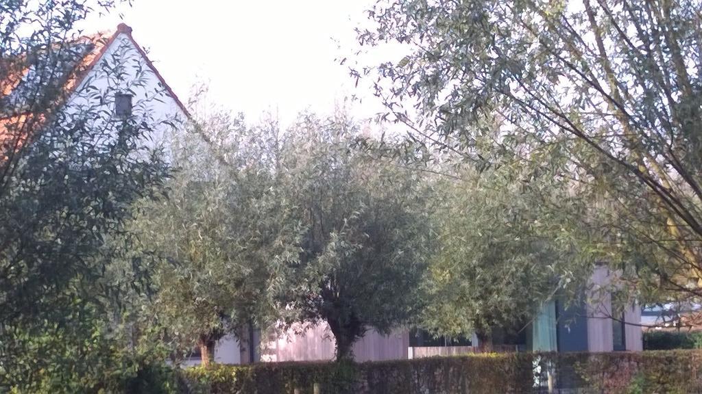 B&B Hier En Nu Heusden Exterior photo